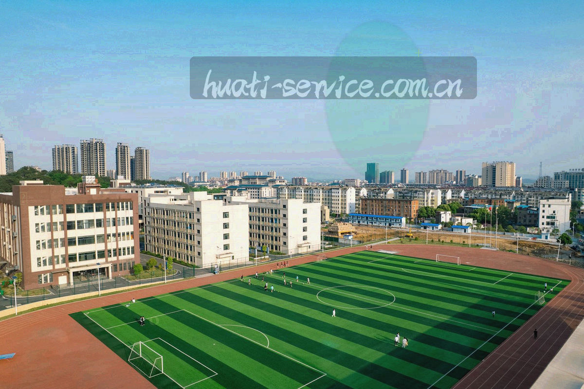 由节点与连线构成的网络抽象图，蓝橙两色节点表示城市与机构之间的连接